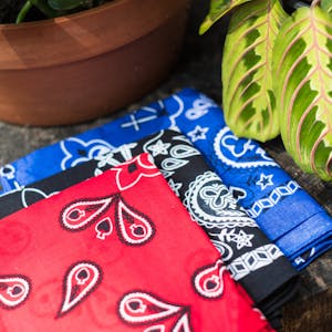 Classic Paisley Bandana