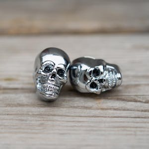 Skull License Plate Bolts